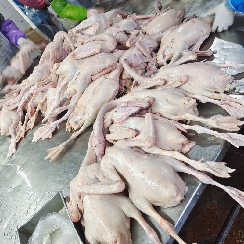 白条鹅，厂家直销，支持不同规格的货定做。有需要咨询