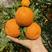 【柑橘】四川黄果柑，产地一手货源，供应电商市场社团