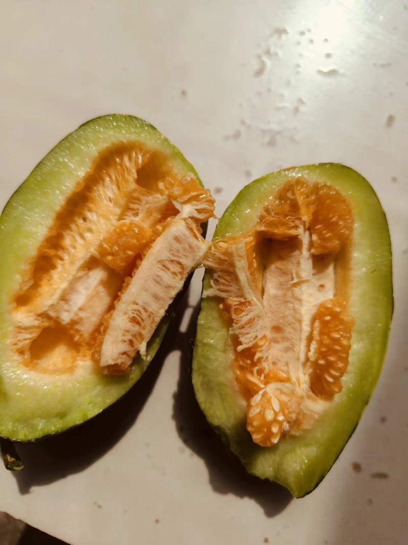 博洋9