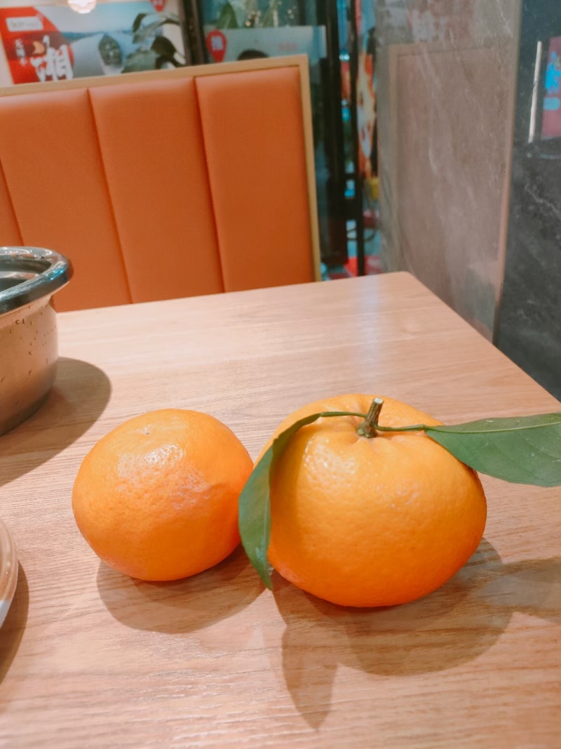 广西沃柑