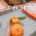 广西沃柑