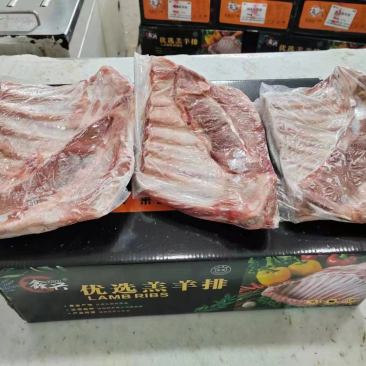 羔羊全排