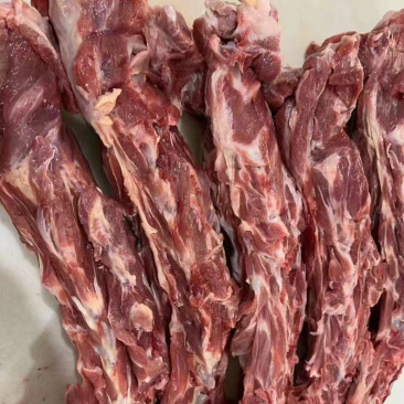 普通羊蝎子