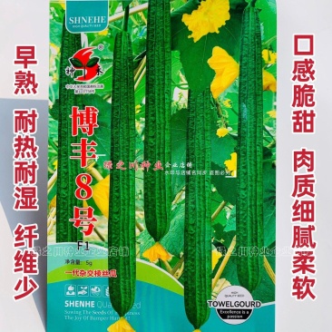 棱丝瓜种子耐热耐湿口感脆甜丝瓜种籽挂果多长棒形长丝瓜种子