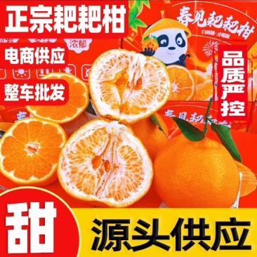 一件代发蒲江春见耙耙柑源头直供量大可调