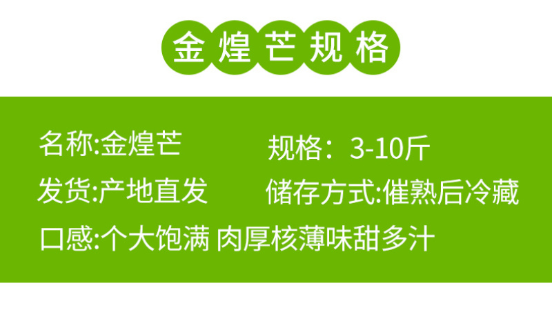 海南金煌芒一件代发新鲜当季水果水仙芒贵妃小台芒果包邮速发