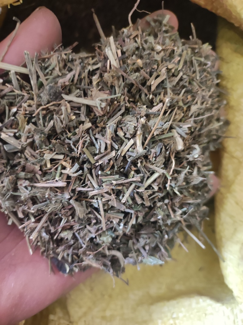 鸭齿草鸭趾草需要多少拍下就可以有现货
