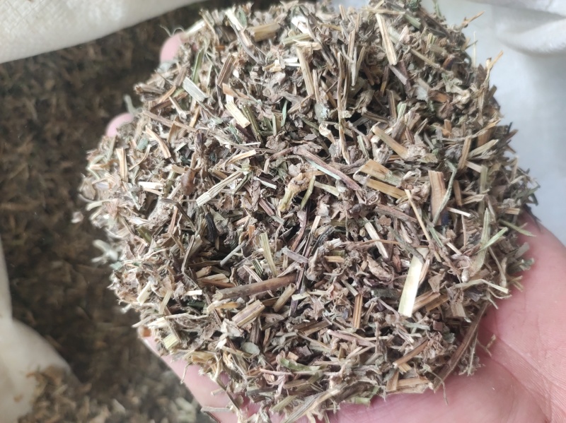 鸭齿草鸭趾草需要多少拍下就可以有现货