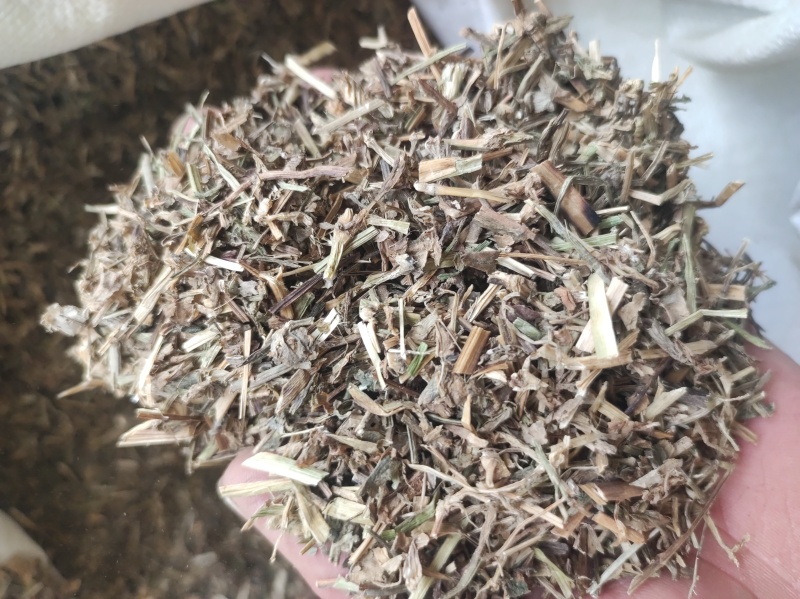 鸭齿草鸭趾草需要多少拍下就可以有现货