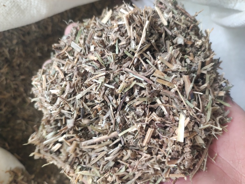 鸭齿草鸭趾草需要多少拍下就可以有现货