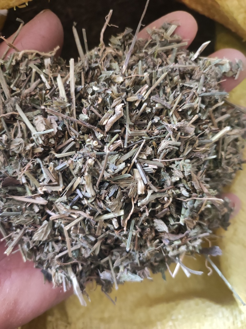 鸭齿草鸭趾草需要多少拍下就可以有现货