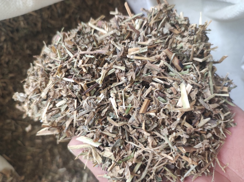 鸭齿草鸭趾草需要多少拍下就可以有现货