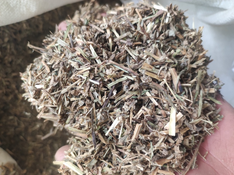 鸭齿草鸭趾草需要多少拍下就可以有现货