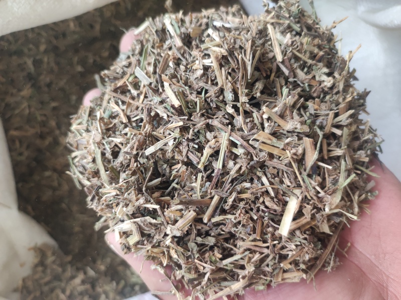 鸭齿草鸭趾草需要多少拍下就可以有现货