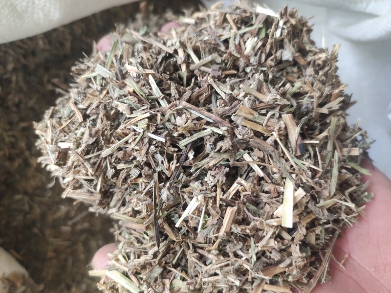 鸭齿草鸭趾草需要多少拍下就可以有现货