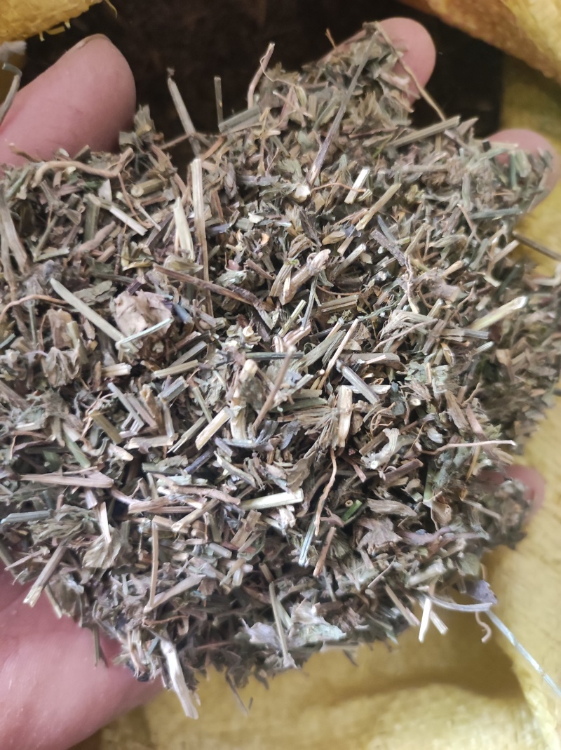 鸭齿草鸭趾草需要多少拍下就可以有现货