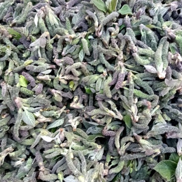构棒