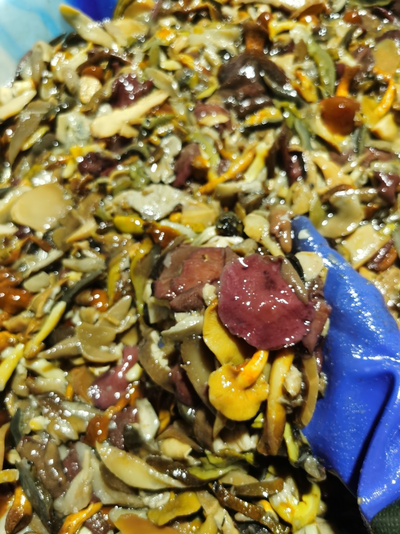 各种菌菇混合，品种多样味道好欢迎餐饮配送批发市场联系洽谈