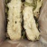 【泡菜】横县大头菜，下饭菜批发一箱净重10斤。