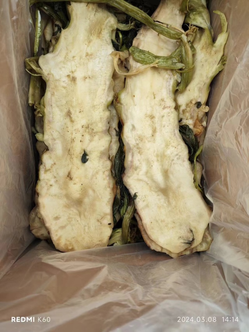 【泡菜】横县大头菜，下饭菜批发一箱净重10斤。
