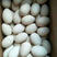 雁鹅蛋盒装10枚保质保量全国发货可视频看货欢迎电联