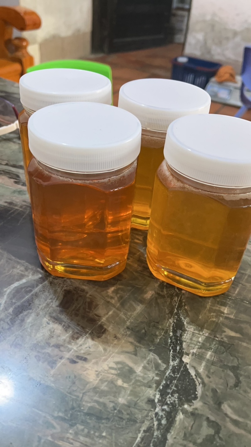 福建漳州荔枝蜜大量上市需要联系我快上架呀