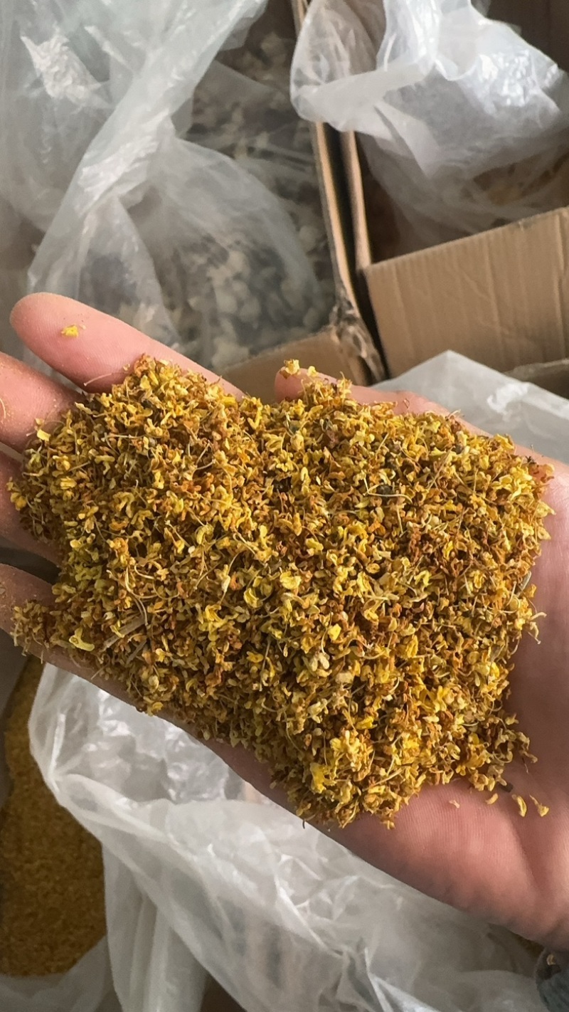 桂花实物拍摄桂花保庆药业批发桂花茶实物拍摄