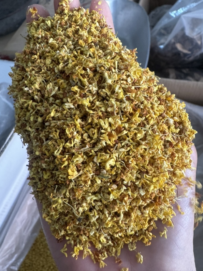 桂花实物拍摄桂花保庆药业批发桂花茶实物拍摄