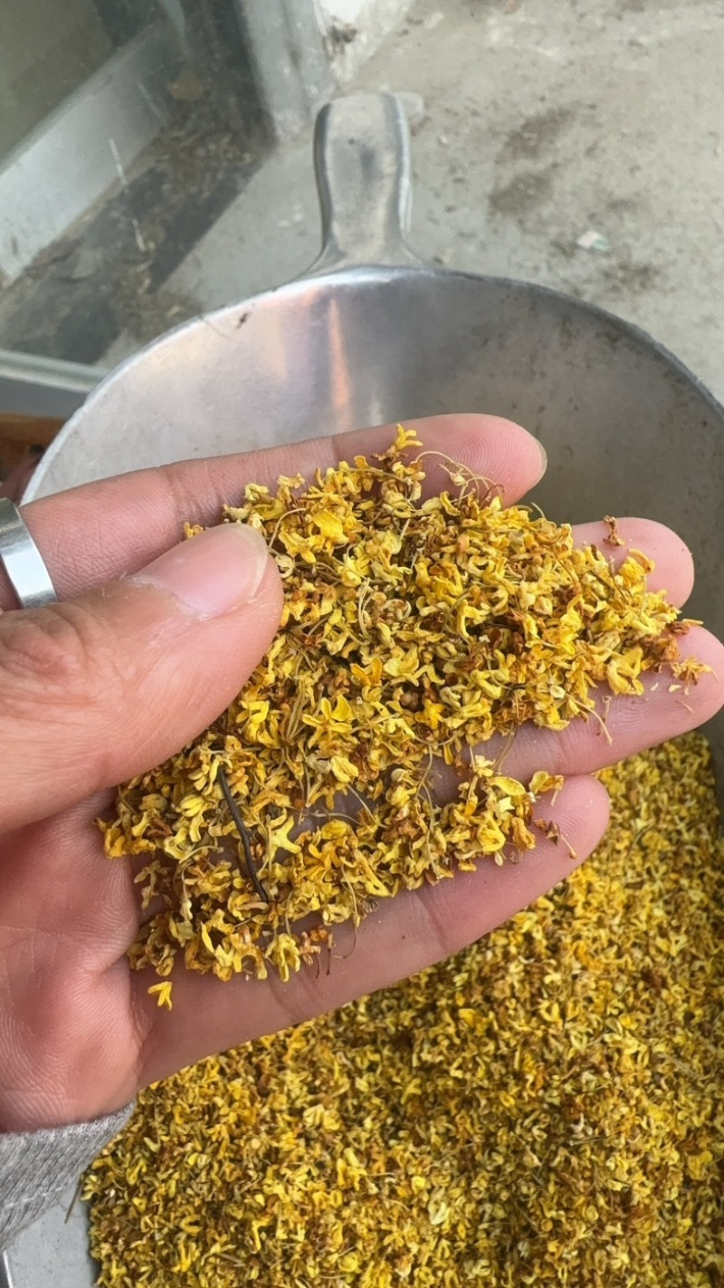 桂花实物拍摄桂花保庆药业批发桂花茶实物拍摄