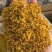 桂花实物拍摄桂花保庆药业批发桂花茶实物拍摄