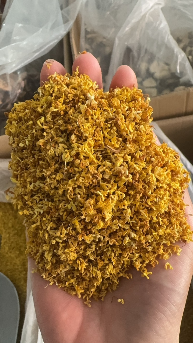 桂花实物拍摄桂花保庆药业批发桂花茶实物拍摄