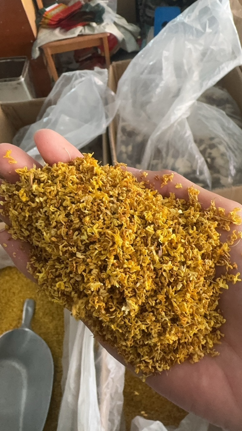 桂花实物拍摄桂花保庆药业批发桂花茶实物拍摄