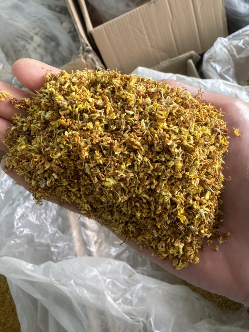 桂花实物拍摄桂花保庆药业批发桂花茶实物拍摄