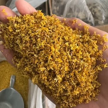 桂花实物拍摄桂花保庆药业批发桂花茶实物拍摄
