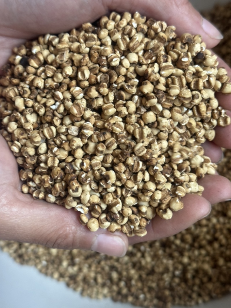 炒薏米小薏米现炒非陈货薏米去炒炒小薏米正品炒薏米
