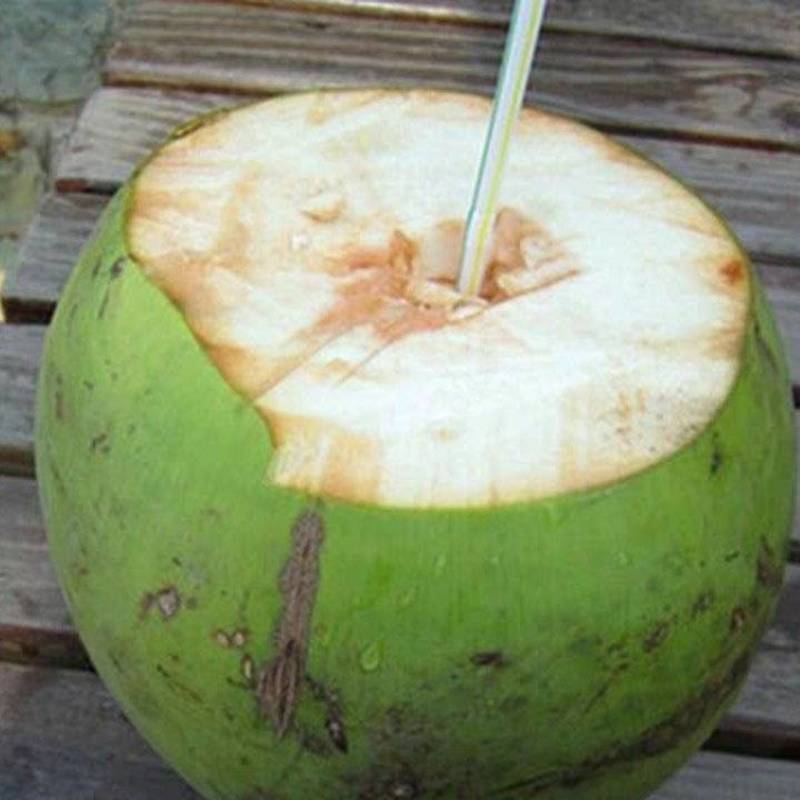 海南椰子新鲜带皮椰青当季水果孕妇正宗文昌青皮椰子包邮