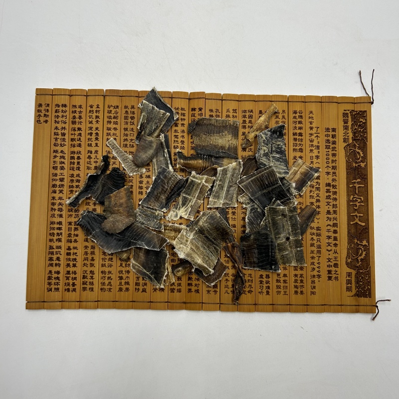 广西地龙地龙片全开地龙散装选货产地直供大量批发各种规格齐