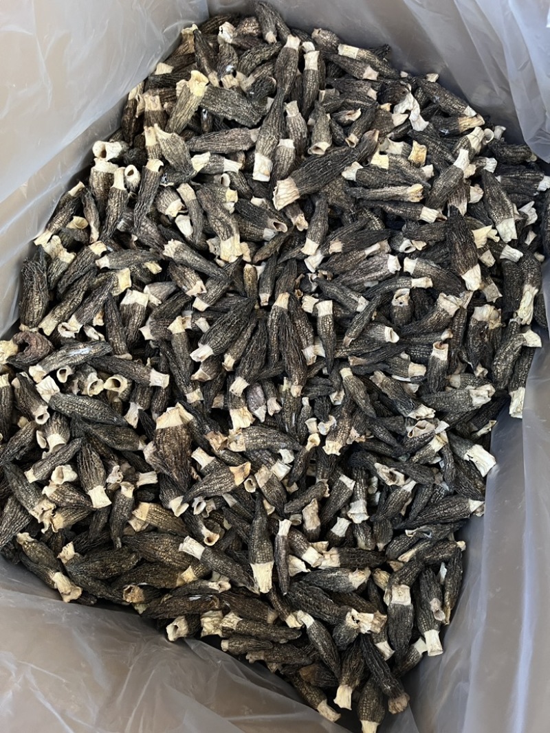 5到7公分羊肚菌六妹色黑性价比干货
