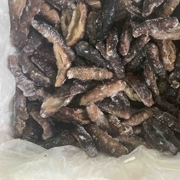 大乌参，各种规格，可独立包装，可贴牌，干冰。