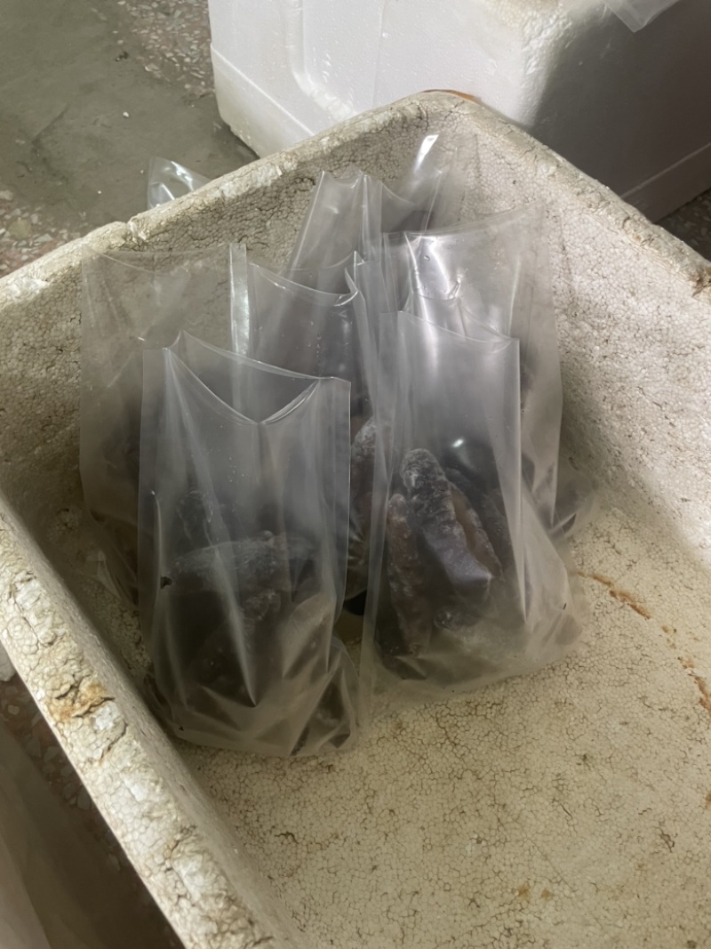 大乌参，各种规格，可独立包装，可贴牌，干冰。