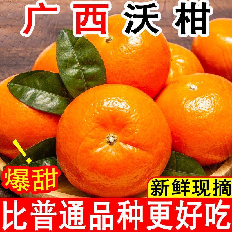 【精品彩箱】沃柑新鲜现摘桔子水果超甜薄皮广西武鸣茂谷包邮