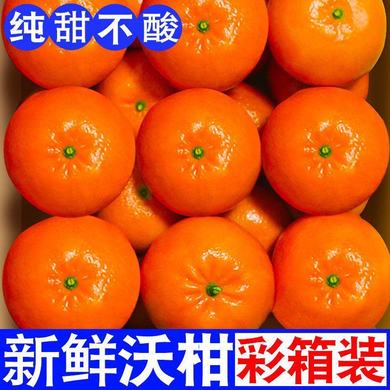 【精品彩箱】沃柑新鲜现摘桔子水果超甜薄皮广西武鸣茂谷包邮