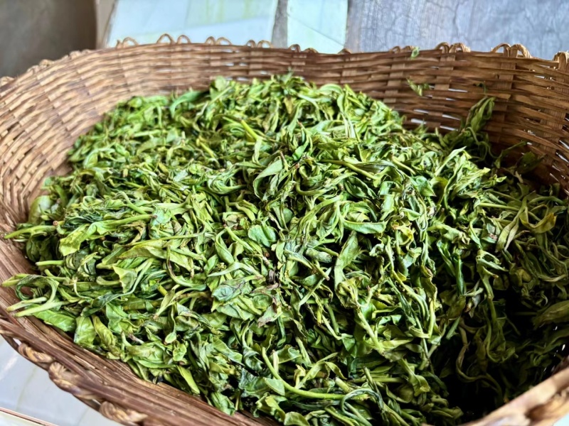 马邓茶