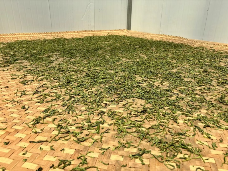 马邓茶