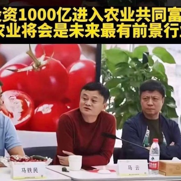 数字农业