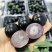 纯绿色无公害农产品，嘉宝果（树葡萄）好吃不上火