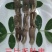 羊肉串，各类串串，欢迎参观考察，24小时为您服务