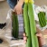 鲜花丝瓜精品货源带花发货基地直发量大价格美丽