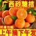 【现摘现发】广西砂糖橘当季新鲜水果橘子沙糖桔子超甜皮包邮