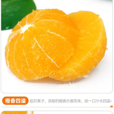 奉节脐橙72-1品牌65以上通货